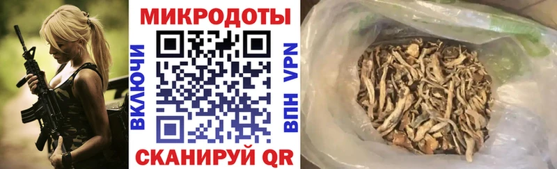 купить   Калачинск  Псилоцибиновые грибы Psilocybe 