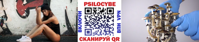 Галлюциногенные грибы Psilocybe Калачинск
